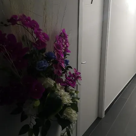Roseal فندق مبيت وإفطار 3*